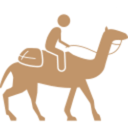 icon-balade-sur-dromadere Sortir à marrakech