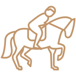 icon-equitation Sortir à marrakech