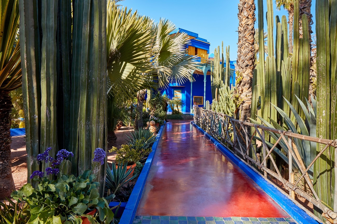 visiter-le-jardin-majorelle-a-Marrakech Sortir à marrakech