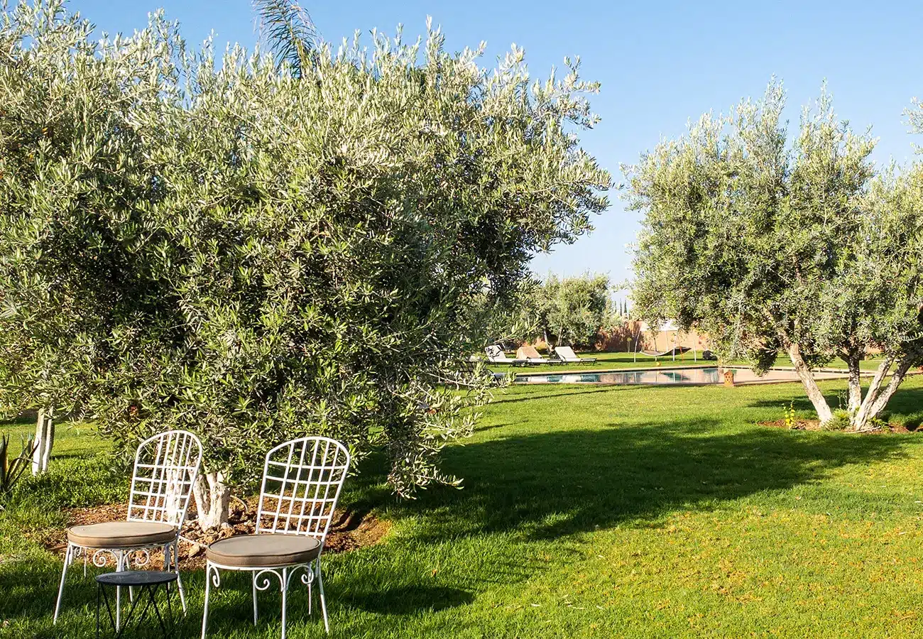 photo-le-jasmin-de-marrakech-exterieur-3-1 Le Jasmin de Marrakech : Maison d’hôte à Marrakech  